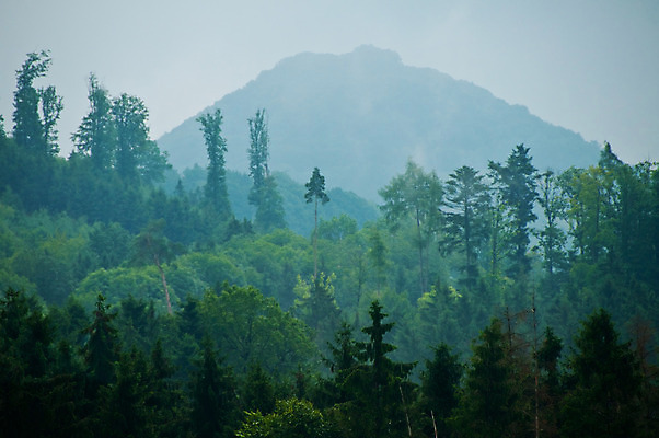 포토 JPG 해외이미지 나무 자연 산 독일 파노라마 사람없음 초록색 빛 안개 시골 숲 이슬 땅 언덕 해외202004 해외포토 식물 유럽 컬러 날씨 촬영기법 생태계 파일형식 이미지허브