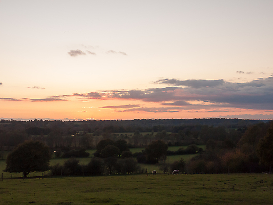 포토 JPG 해외이미지 나무 식물 구름 계절 공원 실루엣 여행 백그라운드 밭 농업 오렌지 자연 하늘 아침 휴가 산 풍경 사람없음 야외 목재 빨간색 초록색 여름 빛 햇빛 태양 노란색 일출 환경 황혼 일몰 가을 시골 저녁 숲 장면 설정 내추럴 수평선 해외202004 해외포토 주간 자연요소 공공시설 산업 컬러 과일 재료 촬영기법 노을 야간 생태계 파일형식 이미지허브