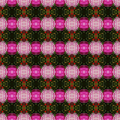 포토 JPG 해외이미지 식물 꽃잎 꽃 아시아 분홍색 잎 꽃무늬 자연 이끼 사람없음 장식 초록색 장미 성장 벚꽃 신선 해외202004 해외포토 나라 컬러 무늬 생태계 파일형식 이미지허브