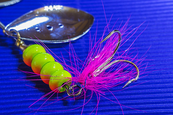 포토 JPG 해외이미지 손 선 포즈 백그라운드 낚시 주택 건조 어류 취미 사람없음 초록색 컬러풀 갈색 금속 검은색 미국 장비 게임 잡기 개울 고리 선탠 깃털 묘사 부식 날카로움 연어 미끼 인공 해외202004 해외포토 컬러 북아메리카 모션 재질 놀이 레저 건물 신체부위 강 수중동물 파일형식 이미지허브