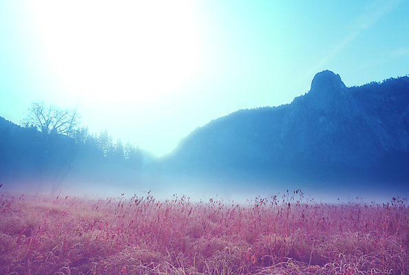포토 JPG 해외이미지 나무 계절 공원 여행 크리스마스 겨울 자연 산 풍경 사람없음 야외 햇빛 태양 환경 맑음 미국 활발 하이킹 추위 가을 바위 캘리포니아 내추럴 얇은 요세미티국립공원 전국 해외202004 해외포토 자연요소 식물 공공시설 기념일 컨셉 북아메리카 레저 날씨 국립공원 돌_바위 생태계 파일형식 이미지허브