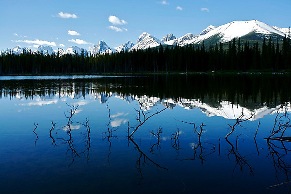포토 JPG 해외이미지 호수 하늘 아침 산 사람없음 파란색 반사 평화 나뭇가지 숲 로키산맥 해외202004 해외포토 주간 나무 컬러 컨셉 파일형식 이미지허브
