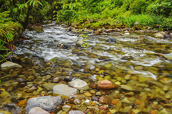 포토 JPG 해외이미지 자연 풍경 사람없음 야외 물 강 흐름 추위 개울 급류 중앙아메리카 속도 그림 암초 내추럴 코스타리카 해외202004 해외포토 자연요소 컨셉 아메리카 생태계 파일형식 이미지허브