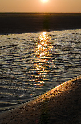 포토 JPG 해외이미지 구름 유럽 길 모래 바다 여행 하늘 바람 휴가 휴식 풍경 사람없음 야외 물 여름 운동 태양 일출 침묵 일몰 껍질 흰색 만 가장자리 모래언덕 언덕 네덜란드 장면 앵무조개 해외202004 해외포토 자연요소 계절 나라 컬러 컨셉 날씨 조개 건강 노을 소리 둘레 파일형식 이미지허브