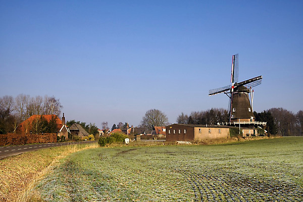 포토 JPG 해외이미지 도로 겨울 밭 농업 자연 하늘 아침 거리 사람없음 건물 마을 냉동 풍차 추위 시골 서리 천연기념물 반투명 해외202004 해외포토 주간 건축물 계절 산업 길 교통시설 생태계 파일형식 이미지허브