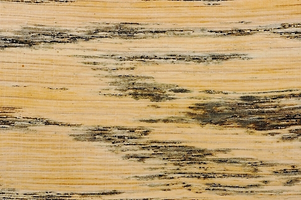 포토 JPG 해외이미지 나무 백그라운드 패턴 표면 추상 사람없음 목재 널 낟알 질감 작살 합판 해외202004 해외포토 식물 무늬 재료 파일형식 이미지허브