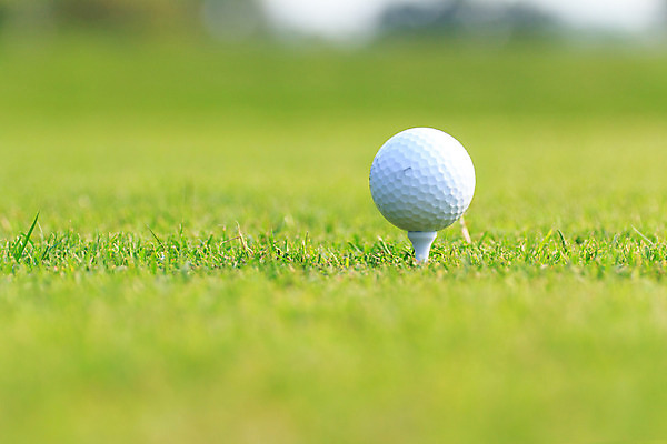 포토 JPG 해외이미지 나무 식물 직업 라이프스타일 스포츠 백그라운드 밭 골프 공 자연 놀이 휴가 풍경 잔디 사람없음 야외 초록색 여름 운동 태양 일몰 경쟁 장비 게임 흰색 골퍼 닫기 강의 오브젝트 클럽 슛 내추럴 골프티 해외202004 해외포토 자연요소 계절 컬러 컨셉 농업 모션 운동선수 골프용품 건강 생활 구기 노을 생태계 파일형식 이미지허브