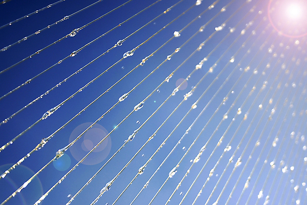 포토 JPG 해외이미지 디자인 선 벽 백그라운드 일러스트 표면 추상 오리 사람없음 물 파란색 빛 컬러풀 태양 꼬리표 라벨 페인트 줄무늬 폭포 덮개 흰색 고민 질감 캔버스 페이지 시들음 스펀지 양피지 해외202004 해외포토 자연요소 감정 컬러 무늬 자연 조류 프레임 뚜껑 파일형식 이미지허브