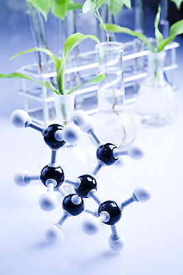 포토 JPG 해외이미지 식물 실내 실험 사람없음 화학 실험실 시험관 흰배경 유리관 화학실험 둥근플라스크 분자구조모형 시험관대 해외202004 해외포토 과학 백그라운드 실험기구 내부 모형 흰색 플라스크 분자구조 파일형식 이미지허브