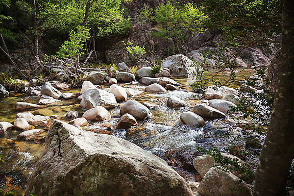 포토 JPG 해외이미지 유럽 섬 여행 자국 자연 하늘 산 풍경 사람없음 야외 초록색 파란색 강 걷기 계곡 프랑스 개울 오솔길 지중해 언덕 내추럴 프랑스어 코르시카 해외202004 해외포토 문자 나라 길 바다 컬러 모션 생태계 파일형식 이미지허브