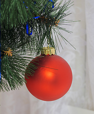 포토 JPG 해외이미지 나무 계절 리본 문화 백그라운드 크리스마스 겨울 휴가 전등 주택 선물 사람없음 목재 장식 초록색 빛 장난감 나뭇가지 축하 소나무 화려 12월 연도 오브젝트 빛망울 여의주 해외202004 해외포토 식물 기념일 컬러 컨셉 재료 조명 건물 날짜 파일형식 이미지허브