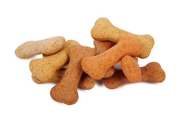 포토 JPG 해외이미지 동물 산업 음식 다이어트 뼈 주택 건조 건강 사람없음 반려동물 쿠키 저녁식사 신선 맛 먹이 흙더미 송곳니 고립 단백질 해외202004 해외포토 컨셉 디저트 건물 식사 흙 치아 영양소 파일형식 더미 이미지허브