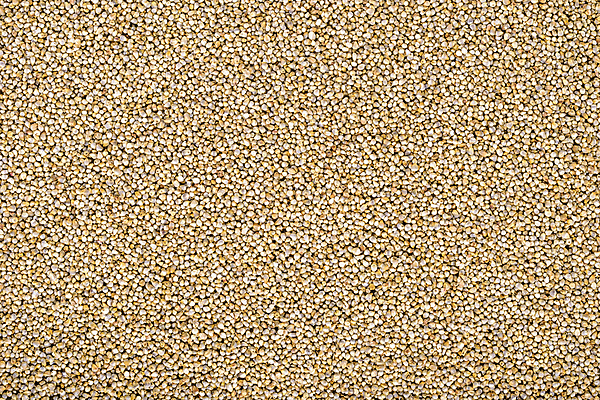 포토 JPG 해외이미지 음식 백그라운드 재료 건강 씨앗 사람없음 노란색 식사 맛 낟알 시리얼 유기농 날것 수수 채식주의자 해외202004 해외포토 식물 웰빙 컬러 컨셉 채식 파일형식 이미지허브