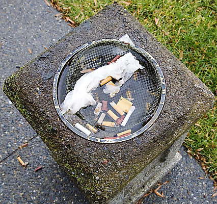 포토 JPG 해외이미지 사람없음 물 쓰레기 폐기물 재떨이 일반 낭비 전국 해외202004 해외포토 자연요소 컨셉 파일형식 이미지허브