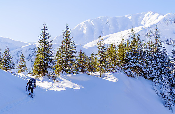 포토 JPG 해외이미지 나무 1 길 여행 겨울 배낭 자국 자연 하늘 휴가 산 한명 풍경 경사 야외 햇빛 태양 여행객 맑음 산책 등산 트래킹 하이킹 황무지 정상 오솔길 돌산 고도 산등성이 절정 눈내림 가문비나무 해외202004 해외포토 자연요소 식물 계절 가방 레저 날씨 휴식 눈_날씨 사람 생태계 파일형식 이미지허브