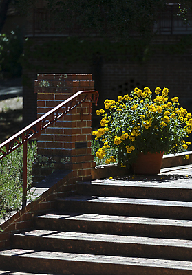 포토 JPG 해외이미지 식물 계절 공원 꽃잎 꽃 문화 분홍색 여행 백그라운드 잎 꽃무늬 밭 오렌지 자연 하늘 연꽃 풍경 사람없음 야외 장식 빨간색 물 여름 파란색 빛 컬러풀 햇빛 노란색 정원 맑음 보라색 봄 활발 벚꽃 흰색 연못 신선 개화 6월 원예 장면 내추럴 패드 해외202004 해외포토 자연요소 공공시설 컬러 컨셉 무늬 농업 과일 날씨 취미 태양 날짜 생태계 파일형식 이미지허브