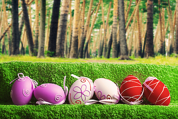 포토 JPG 해외이미지 전통 디자인 계절 꽃 행복 종교 분홍색 백그라운드 패턴 자연 하늘 휴가 부활절 선물 이벤트 사람없음 장식 빨간색 초록색 파란색 컬러풀 노란색 우주 주방 계란 축제 치킨 페인트 봄 흰색 축하 신선 그리기 심볼 오브젝트 질감 냅킨 사냥 줄서기 카피스페이스 해외202004 해외포토 식물 기념일 감정 컬러 컨셉 무늬 모션 알 공백 생태계 닭고기요리 파일형식 이미지허브