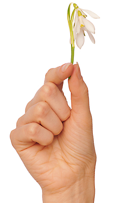 포토 JPG 해외이미지 식물 전통 손 계절 꽃잎 꽃 문화 줄기 꽃다발 잎 겨울 꽃무늬 자연 선물 사람없음 야외 장식 초록색 정원 침묵 봄 들꽃 성장 벚꽃 흰색 신선 잡기 눈송이 개화 선택 떨어짐 숲 4월 다발 배열 심볼 헌병 세련 해외202004 해외포토 컬러 컨셉 무늬 모션 눈_날씨 신체부위 소리 군인 날짜 생태계 파일형식 이미지허브