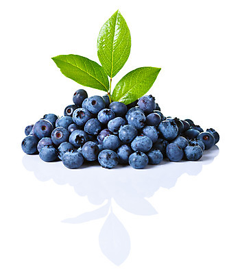 포토 JPG 해외이미지 열매 음식 백그라운드 잎 다이어트 과일 재료 자연 디저트 건강 사람없음 초록색 여름 파란색 검은색 흰색 신선 그룹 달콤 맛 숲 다발 먹기 블루베리 날것 내추럴 고립 숙성 월귤 해외202004 해외포토 식물 계절 컬러 컨셉 모션 생태계 파일형식 이미지허브