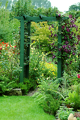 포토 JPG 해외이미지 나무 식물 공원 꽃 자연 사람없음 야외 목재 초록색 여름 평화 환경 정원 고요 봄 성장 벚꽃 신선 대문 생태학 해외202004 해외포토 계절 공공시설 교육 컬러 컨셉 재료 문 생태계 파일형식 이미지허브