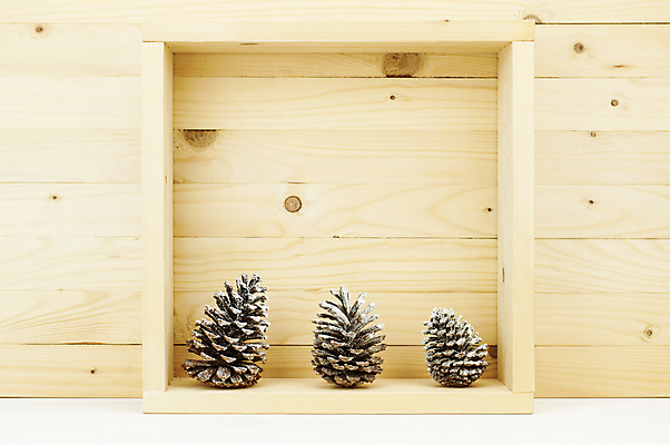 포토 JPG 해외이미지 계절 행복 백그라운드 크리스마스 겨울 자연 휴가 사람없음 목재 장식 상자 축제 흰색 소나무 연도 정사각형 솔방울 원뿔 해외202004 해외포토 도형 나무 기념일 감정 컬러 재료 생태계 파일형식 이미지허브