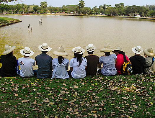 포토 JPG 해외이미지 라이프스타일 응시 공원 여자 행복 아시아 호수 백그라운드 관계 태국 하늘 휴가 휴식 사람 동양인 성인 사람없음 야외 친구 일출 정원 맑음 일몰 봄 우정 흰색 그룹 결합 고립 단절 힙스터 해외202004 해외포토 시선 계절 공공시설 패션 감정 나라 컬러 컨셉 날씨 인종 생활 노을 파일형식 이미지허브