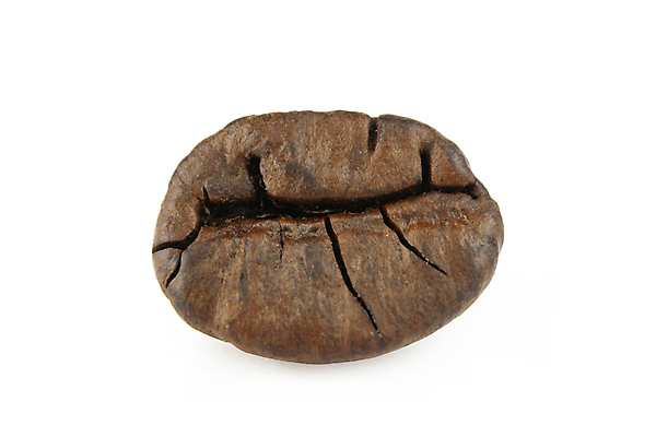 포토 JPG 해외이미지 스튜디오촬영 커피 음료 클리핑패스 음식 백그라운드 잎 농업 재료 아침 콩 씨앗 사람없음 컵 빛 농작물 갈색 검은색 어둠 카페 에너지 흰색 하트 신선 뜨거움 아침식사 낟알 자르기 굽기 아로마 결 향 카푸치노 에스프레소 흙더미 내추럴 고립 모카 아라비카 아랍어 카페인 해외202004 해외포토 주간 모양 식물 식기 산업 컬러 무늬 모션 곡류 실내 상점 식사 흙 구이 파일형식 더미 이미지허브