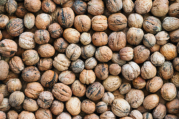 포토 JPG 해외이미지 계절 음식 백그라운드 과일 자연 벽지 추상 건강 씨앗 사람없음 견과류 가을 심볼 묘사 질감 호두 해외202004 해외포토 식물 무늬 생태계 파일형식 이미지허브