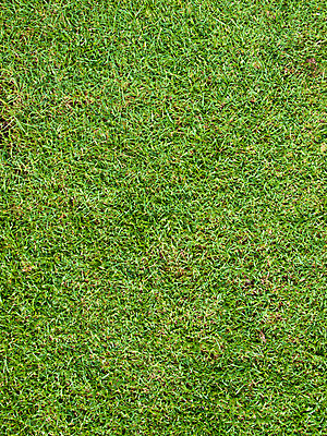 포토 JPG 해외이미지 식물 라이프스타일 스포츠 백그라운드 패턴 밭 골프 텍스트 공 자연 놀이 사람 풍경 잔디 사람없음 야외 초록색 파란색 우주 성장 게임 신선 칼날 강의 땅 클럽 질감 귀족 넣기 땅바닥 플레이어 그리너리 완전 해외202004 해외포토 컬러 컨셉 무늬 농업 모션 바닥 생활 구기 생태계 파일형식 트랜드컬러 이미지허브