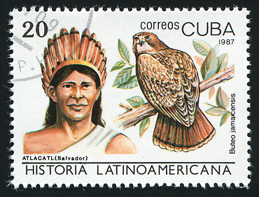 포토 JPG 해외이미지 한마리 남자 잎 조류 한명 상반신 성인 빈티지 리더 쿠바 전사 우표 쿠바인 성인남자한명만 해외202004 해외포토 식물 동물 1 컨셉 사람 인종 중앙아메리카 남자한명만 성인남자만 파일형식 이미지허브