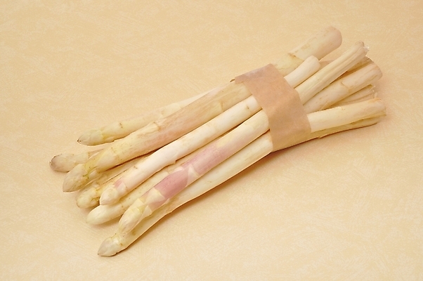 포토 JPG 해외이미지 음식 채소 재료 요리 사람없음 봄 흰색 끝 아스파라거스 날것 해외202004 해외포토 계절 컬러 파일형식 이미지허브