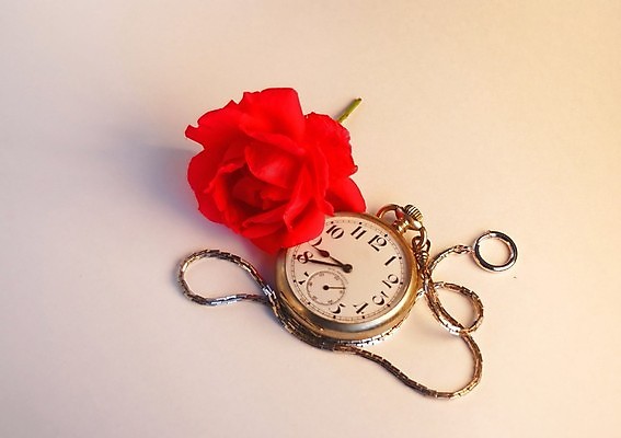 포토 JPG 해외이미지 꽃잎 꽃 사랑 사람없음 빨간색 장미 평화 시간 주머니 손목시계 옛날 해외202004 해외포토 식물 감정 시계 컬러 컨셉 장신구 파일형식 이미지허브
