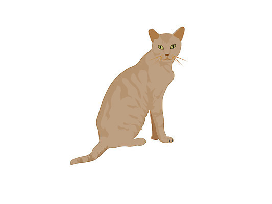 포토 JPG 해외이미지 동물 디자인 컨셉 일러스트 털 앉기 사람없음 그래픽 반려동물 고양이 흰색 위험 오브젝트 꼬리 고립 엘리먼트 집게발 해외202004 해외포토 컬러 포유류 모션 파일형식 이미지허브