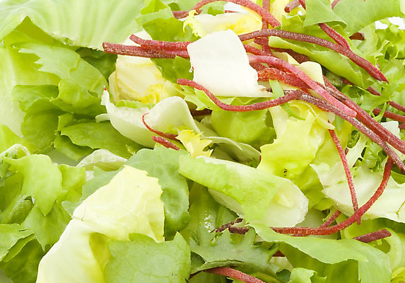 포토 JPG 해외이미지 라이프스타일 음식 잎 다이어트 채소 재료 건강 사람없음 초록색 식사 샐러드 신선 맛 혼합 몸무게 상추 먹기 묘사 유기농 내추럴 점심식사 식용 적자 채식주의자 해외202004 해외포토 식물 웰빙 컬러 컨셉 모션 생활 채식 파일형식 이미지허브