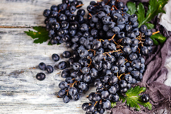 포토 JPG 해외이미지 열매 음식 다이어트 과일 재료 디저트 건강 사람없음 파란색 검은색 흰색 신선 사발 달콤 먹기 유기농 블루베리 블랙베리 고립 숙성 해외202004 해외포토 식물 웰빙 컬러 모션 사기그릇 맛 파일형식 이미지허브