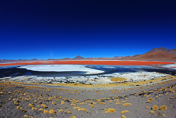 포토 JPG 해외이미지 호수 야생동물 분홍색 여행 자연 하늘 산 파노라마 어류 풍경 사람없음 야외 빨간색 물 파란색 컬러풀 반사 미국 사막 황무지 플라밍고 고도 언덕 호기심 소금 칠레 남쪽 석호 볼리비아 어안 콜로라도 해외202004 해외포토 자연요소 동물 감정 컬러 컨셉 북아메리카 조류 촬영기법 아메리카 수중동물 남아메리카 방향 생태계 파일형식 이미지허브