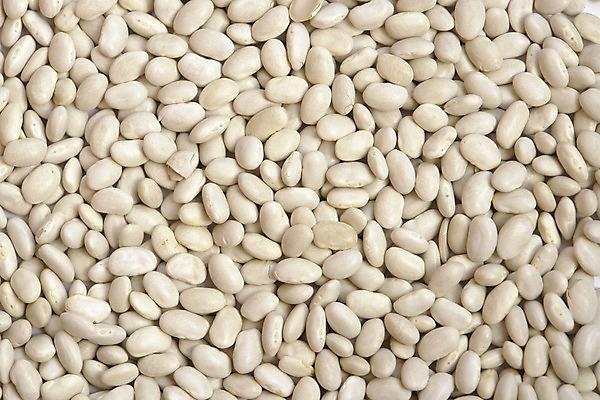 포토 JPG 해외이미지 음식 백그라운드 농업 다이어트 채소 재료 콩 건조 건강 요리 씨앗 사람없음 가로 흰색 그룹 신장 닫기 작음 먹기 유기농 질감 날것 강낭콩 내추럴 단백질 생식 작살 채식주의자 많음 해외202004 해외포토 식물 웰빙 산업 컬러 컨셉 모션 곡류 비뇨기관 크기 채식 영양소 파일형식 이미지허브