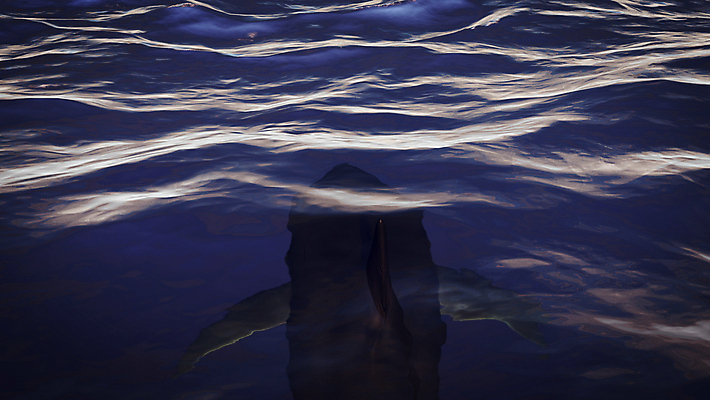 포토 JPG 해외이미지 동물 야생동물 바다 여행 백그라운드 신체 일러스트 자연 표면 어류 사람없음 물 파란색 3D 바닷속 수중 수영 어둠 흰색 치아 위험 큼 아래 고래 다이빙 날카로움 지느러미 태평양 상어 암초 멸종 거인 깊이 주목 해외202004 해외포토 자연요소 컬러 컨셉 포유류 수중동물 수상스포츠 소화기관 크기 방향 디지털합성 생태계 위치 수중스포츠 파일형식 이미지허브