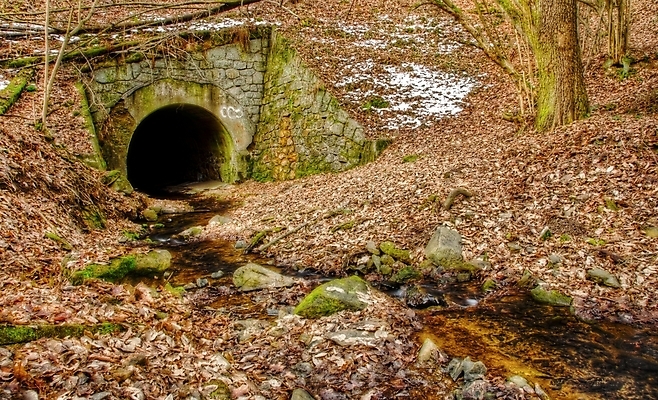포토 JPG 해외이미지 나무 도로 여행 곡선 교통시설 자연 휴가 출입구 산 안전 사람 풍경 사람없음 야외 목재 초록색 여름 환경 어둠 운전 안개 가을 구멍 고속도로 터널 동굴 숲 튜브 지하 내추럴 굴곡 깊이 방법 뿌연 생태학 옛날 절정 지질학 해외202004 해외포토 식물 계절 교육 길 선 컬러 교통 재료 모션 날씨 시설 생태계 파일형식 이미지허브