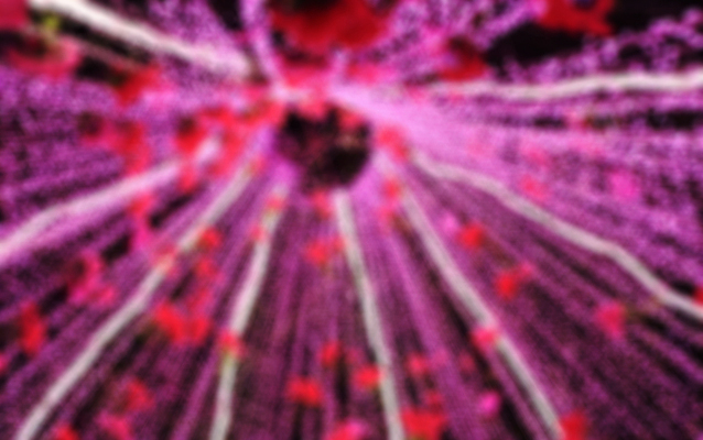 포토 JPG 해외이미지 나무 행복 분홍색 백그라운드 크리스마스 패턴 태국 새해 사람없음 장식 장미 축제 시간 날짜 큼 보케 블러 카운트다운 해외202004 해외포토 식물 기념일 꽃 감정 아시아 컬러 무늬 크기 파일형식 이미지허브