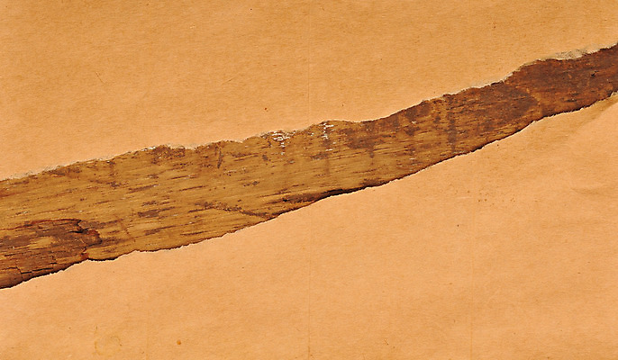 포토 JPG 해외이미지 종이 백그라운드 바닥 프레임 사람없음 목재 노란색 거친 가장자리 널 질감 찢어짐 시트 그런지 수목 옛날 해외202004 해외포토 나무 컬러 재료 모션 둘레 파일형식 이미지허브