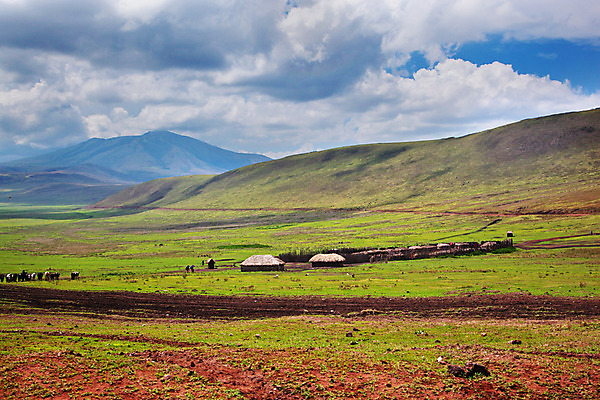포토 JPG 해외이미지 나무 동물 공원 야생동물 여행 아프리카 자연 하늘 산 풍경 사람없음 초록색 여름 파란색 마을 계곡 일몰 황무지 중앙 땅 사파리 아카시아 마사이족 사바나 전국 탄자니아 해외202004 해외포토 식물 계절 공공시설 나라 컬러 노을 생태계 파일형식 이미지허브