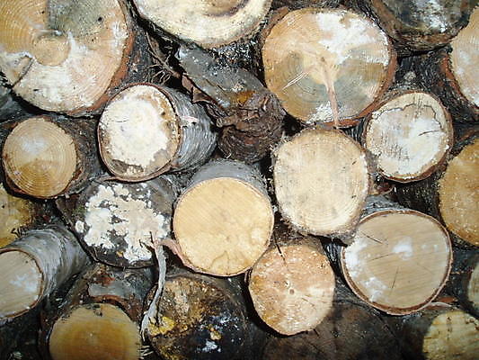 포토 JPG 해외이미지 나무 줄기 농업 사람없음 목재 쌓기 상점 숲 장작 자르기 질감 통나무 수납 잡동사니 벌목 수목 개조 해외202004 해외포토 식물 산업 재료 모션 파일형식 이미지허브