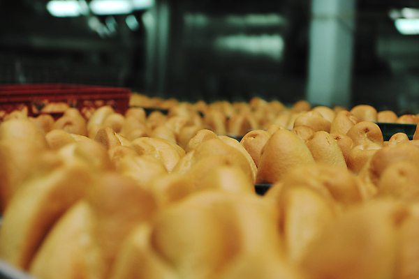 포토 JPG 해외이미지 빵 공장 실내 사람없음 아웃포커스 소프트포커스 가득함 많음 해외202004 해외포토 음식 컨셉 공업 촬영기법 내부 파일형식 이미지허브