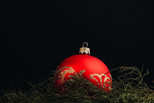 포토 JPG 해외이미지 나무 별 백그라운드 컨셉 크리스마스 패턴 공 탁자 추상 휴가 새로움 프레임 선물 사람없음 목재 장식 빨간색 초록색 빛 우주 축제 장식볼 수확 흰색 나뭇가지 시골 축하 인사 거친 그룹 황금 정상 연도 심볼 사인 엽서 흙더미 구성 옛날 스타일 해외202004 해외포토 자연요소 식물 기념일 컬러 가구 무늬 농업 재료 흙 예절 편지 파일형식 더미 이미지허브