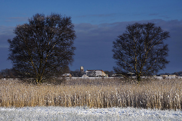 포토 JPG 해외이미지 나무 구름 겨울 갈대 사람없음 교회 마을 탑 해외202004 해외포토 자연요소 식물 건축물 계절 종교건축 건물 파일형식 이미지허브
