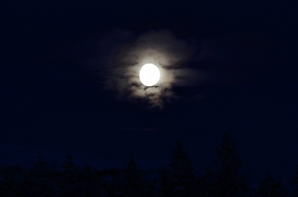 포토 JPG 해외이미지 사람없음 야외 보름달 달 야간 달빛 해외202004 해외포토 자연요소 파일형식 이미지허브