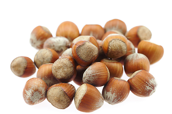 포토 JPG 해외이미지 나무 식물 음식 백그라운드 과일 재료 부분 자연 건조 기술 건강 씨앗 사람없음 목재 갈색 노란색 식사 힘 펼침 견과류 가을 흰색 오픈 원형 자르기 먹기 가득함 오브젝트 날것 개암나무 고립 꼬투리 단절 엘리먼트 여의주 개암 해외202004 해외포토 도형 계절 열매 컬러 모션 생태계 파일형식 이미지허브