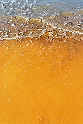 포토 JPG 해외이미지 유럽 모래 파도 바다 백그라운드 컨셉 모션 자연 조류 휴가 휴식 풍경 해변 사람없음 물 여름 모래사장 태양 노란색 평화 흐름 황금 홍수 질감 조용 단절 엘리먼트 해외202004 해외포토 자연요소 동물 계절 나라 컬러 자연재해 생태계 파일형식 이미지허브