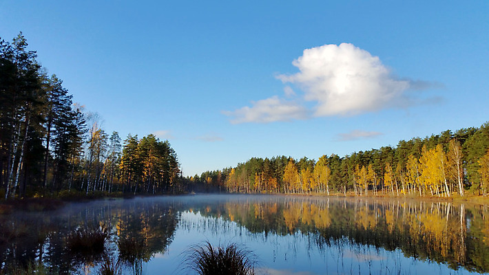 포토 JPG 해외이미지 나무 구름 공원 호수 여행 백그라운드 자연 하늘 풍경 사람없음 야외 목재 초록색 물 여름 파란색 강 햇빛 반사 침묵 일몰 거울 가을 숲 지역 내추럴 넘어짐 전국 수평선 해외202004 해외포토 자연요소 식물 계절 공공시설 컬러 재료 모션 태양 노을 소리 생태계 파일형식 이미지허브